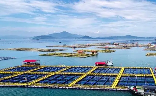 渔业安全生产“百日攻坚”行动于9月1日正式启动