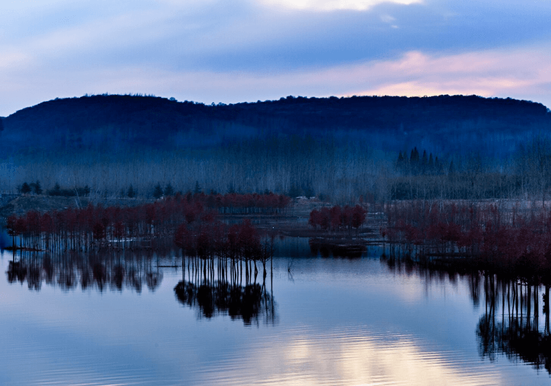 都昌县新妙湖养殖场黄金堰鱼苗养殖基地